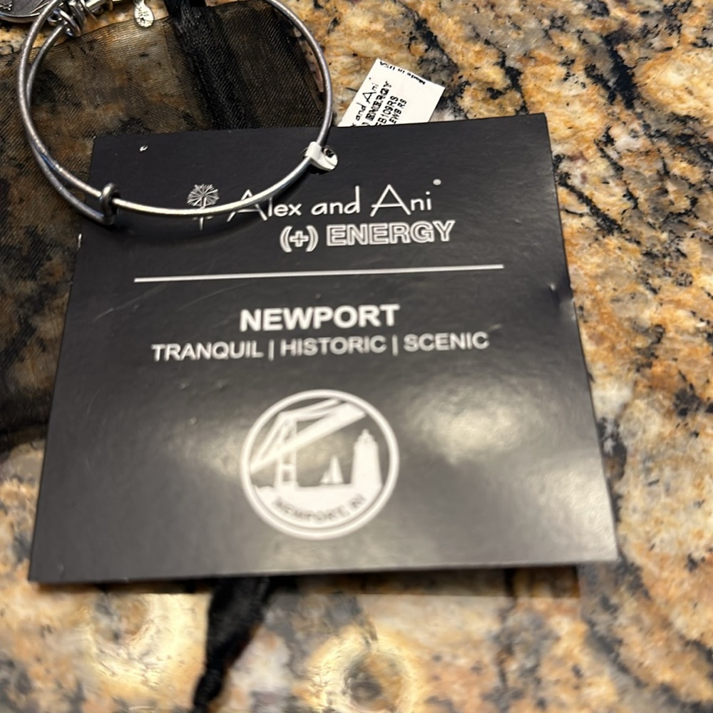 ALEX AND ANI ❤️ NEWPORT ~ TRANQUIL ~ HISTORIC ~SCENIC BRACELET~ NWT - Picture 3 of 6